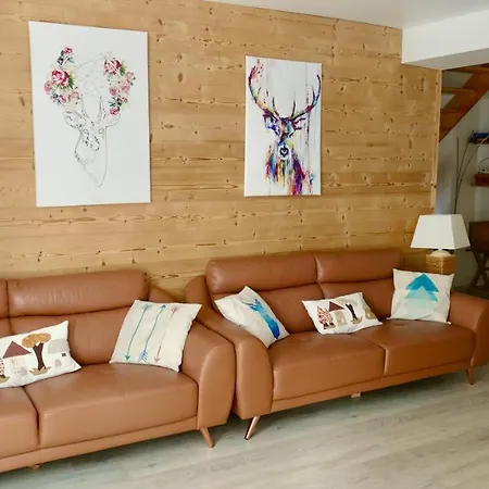 Apartment Spacieux 300m2 - Sauna - Bbq - Terrasse